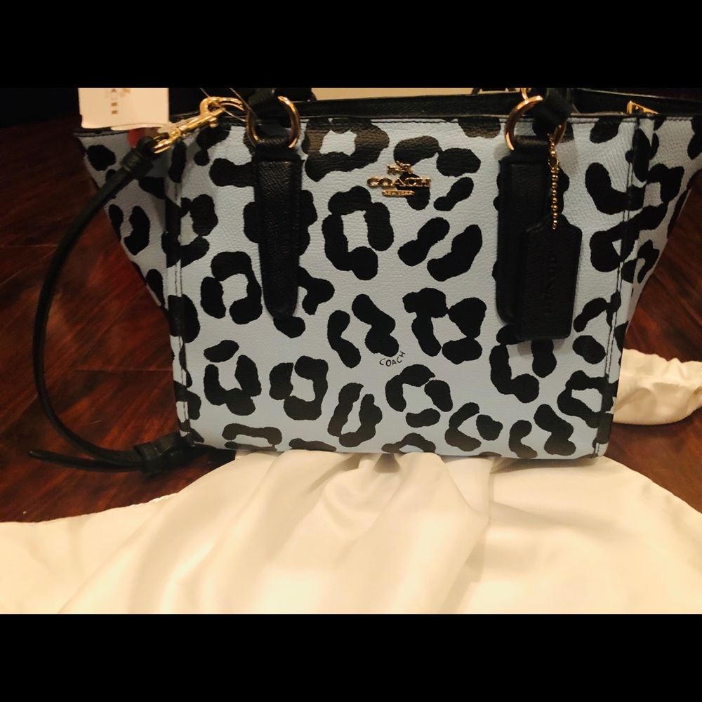 coach handbag